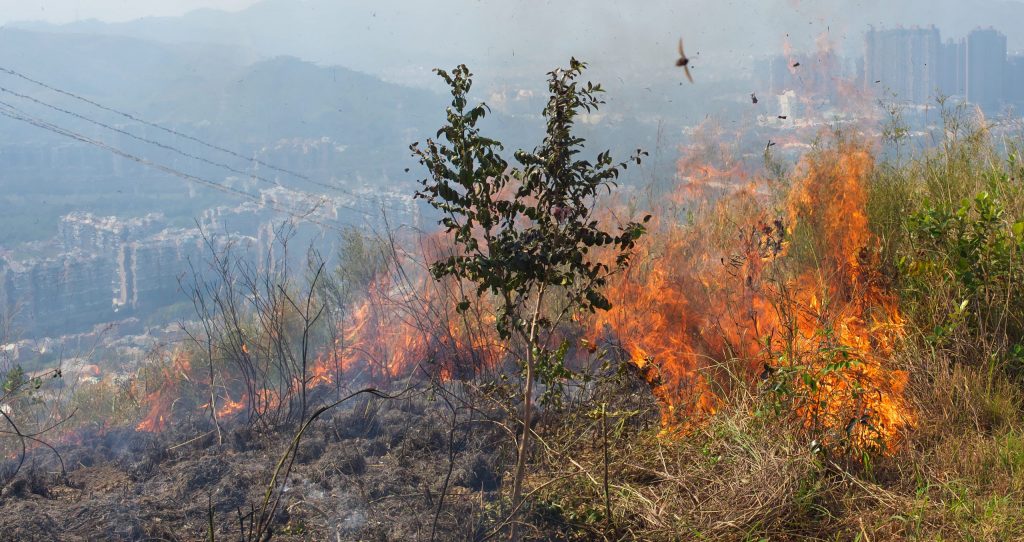 Fire hike at Lam Tsuen
