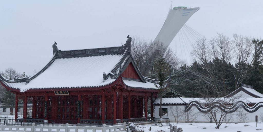 Montreal Gardens in Snow, February 2024