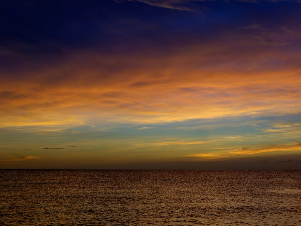 Little bit of Florida, July 2023