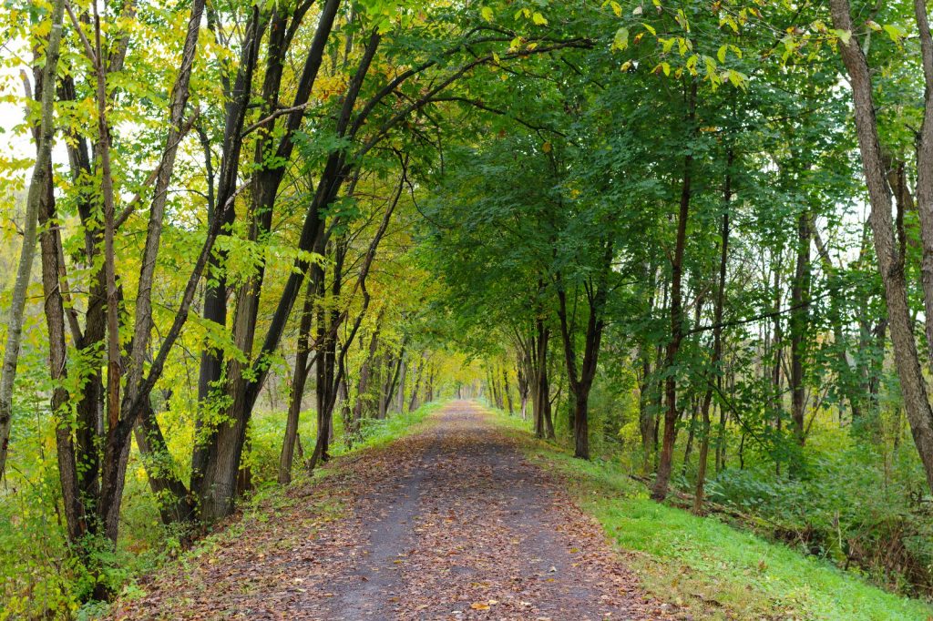 David S. Ammerman Trail, October 2024