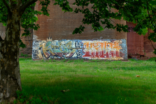 MF20230625_125615
