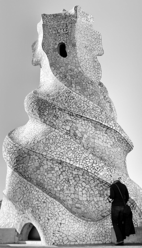 MF20231123_122213_Nik