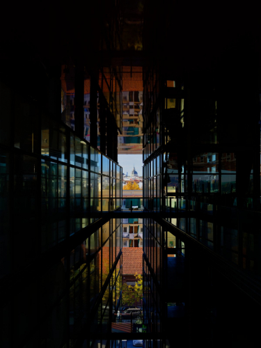 MF20231124_150859