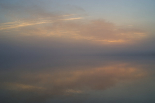 MF20231209_070905