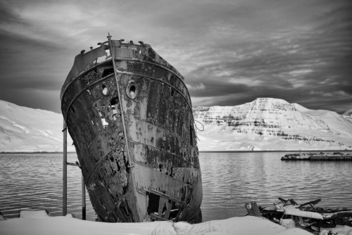 MF20231230_090546bw