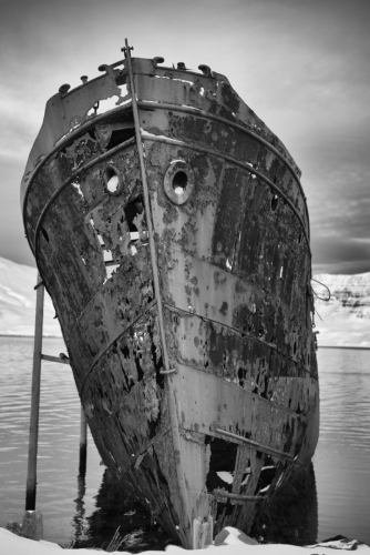 MF20231230_090831bw