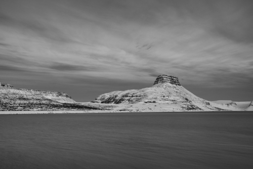 MF20231231_065721bw