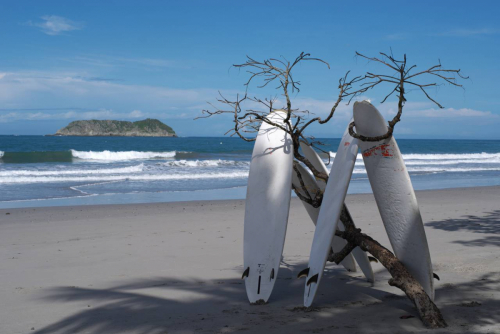 Costa Rica Artsy, August 2024