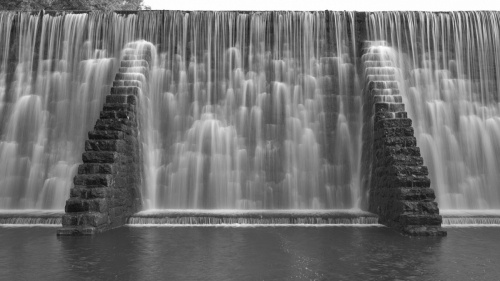 MF20241019_072629bw