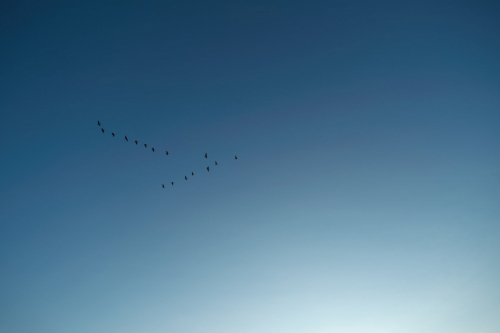 MF20241019_073935