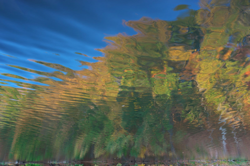 MF20241019_081057