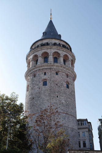 MF20241130_045634